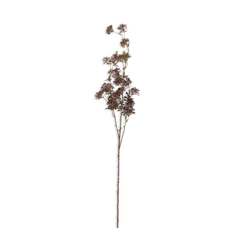 Hogweed