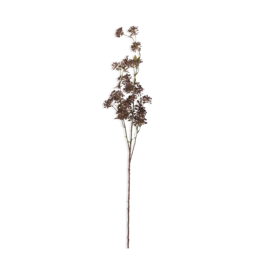 Hogweed