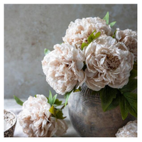 Peony Stem