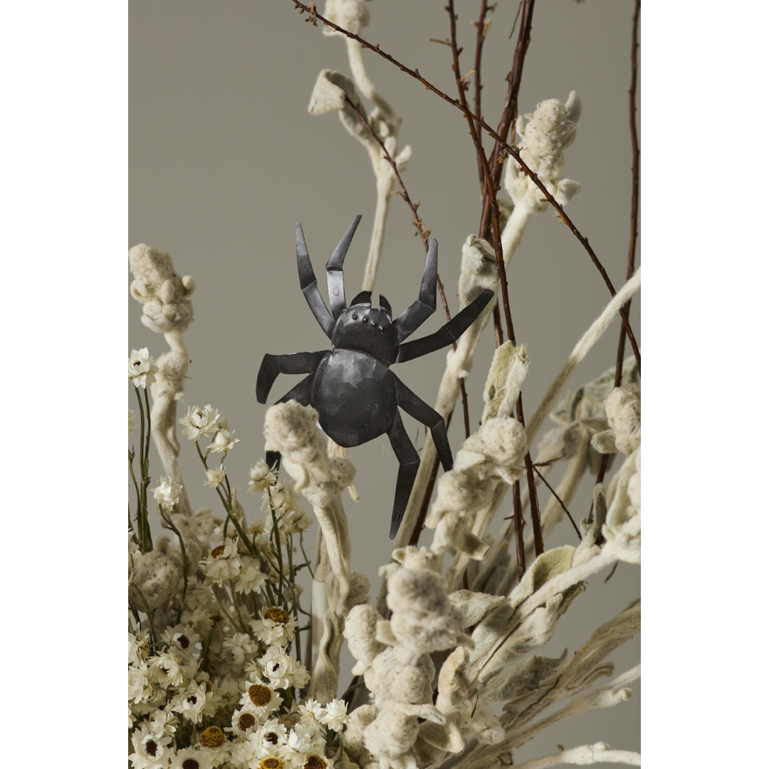 Window Spider Decor Set