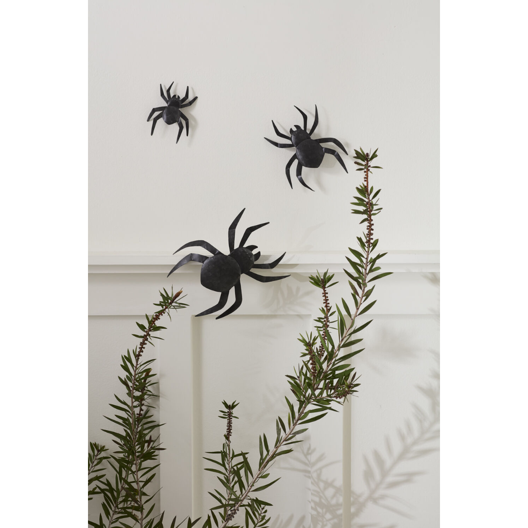 Window Spider Decor Set