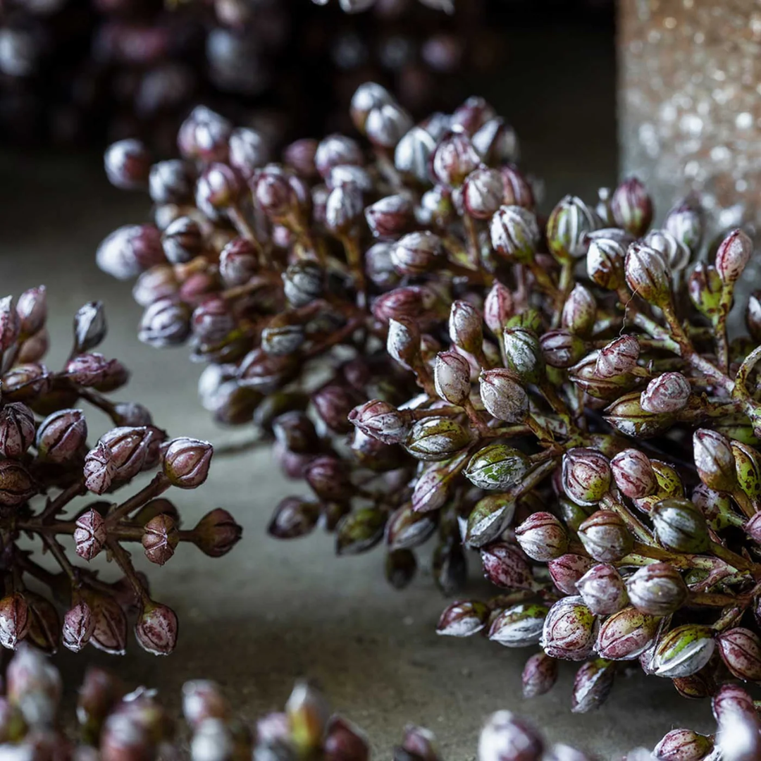 Artificial Sorghum Sunrise