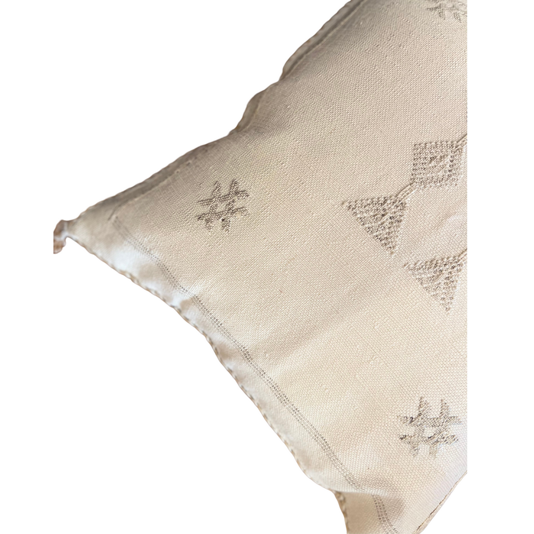 Cactus Pillow