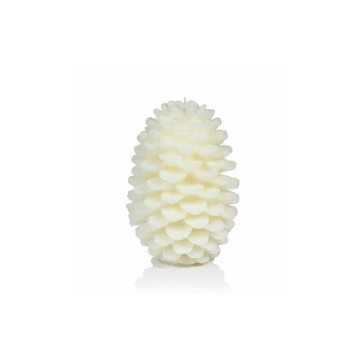 Pine Cone Candle